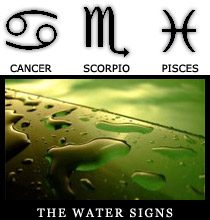 The Water Signs